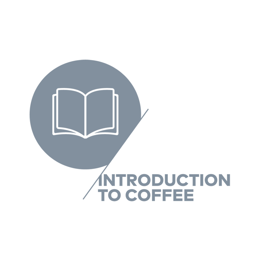 Sca Introduction to Coffee